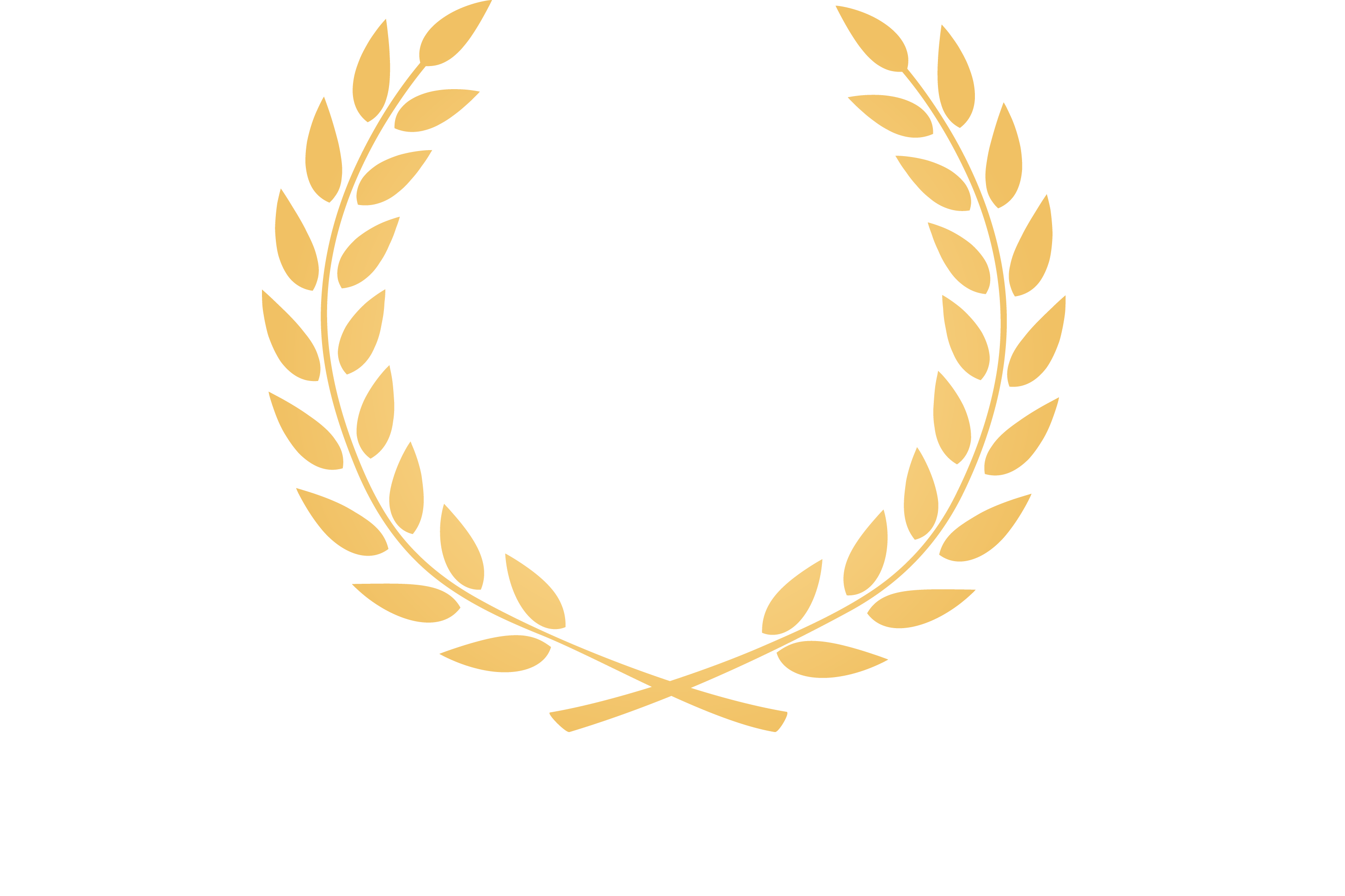 BJ Transportation